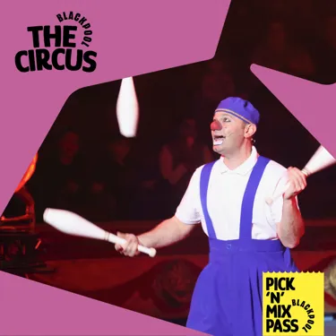 Circus Carousel (2)